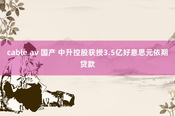 cable av 国产 中升控股获授3.5亿好意思元依期贷款