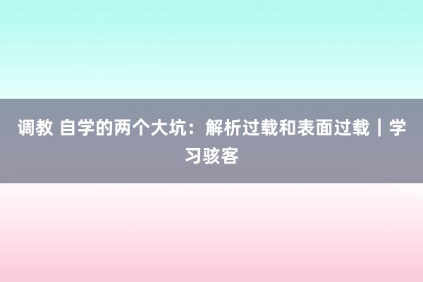 调教 自学的两个大坑：解析过载和表面过载｜学习骇客